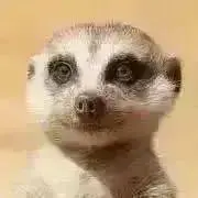 あつプロフ必須の画像