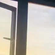 ぶどうの画像