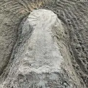 たらこスパゲッティの画像