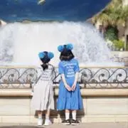 キャベツの画像