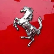 スルメ会社[笑]