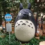 fu-8の画像