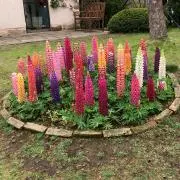 kaoriの画像