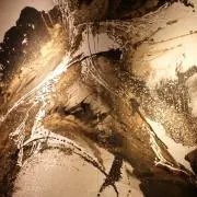 ライム【基本翌日発送】