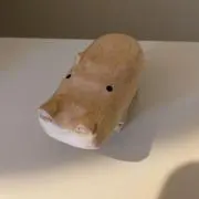 基本配送はゆうパケットポストmini⭐︎の画像