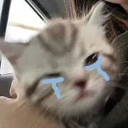 出品すべて1月までᵕ̩̩_ᵕの画像