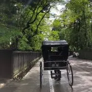 森林浴の画像
