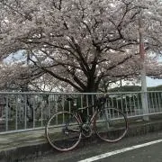 のぶやん