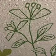 YA-MANの画像