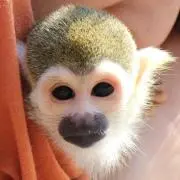 そうちゃんママ♡