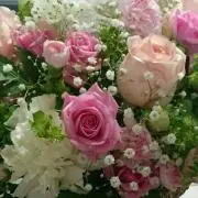 マル☆プロフィール必読☆の画像
