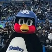 のんちきあすか