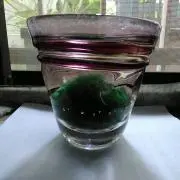 8dan2shikiの画像