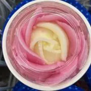 こいもこの画像