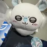 PSA10 ユニオンアリーナ シリアル まどマギ 鹿目まどか 直筆サインPOP2