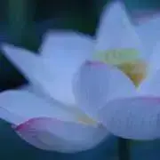 なか⭐️まさの画像