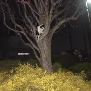 林　斗亜