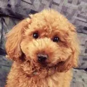 ちあき
