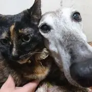 もっちー
