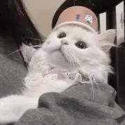 Yu