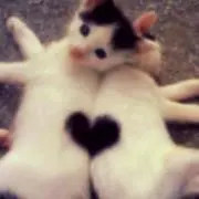 とも♡ᵕ̈