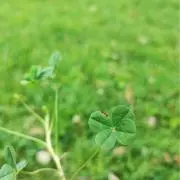 おこめ(*˘︶˘*) •*¨*•.。。♡