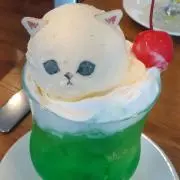 鮎の画像