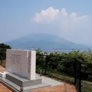 メイプルさんの画像