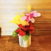 ハワイの画像