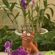 やびこの画像