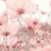 めあ(プロフィール見てください)の画像