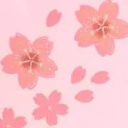 Sakuraの画像