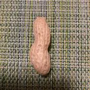 peanutsの画像