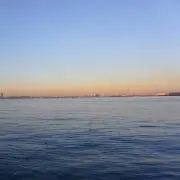 HARUの画像