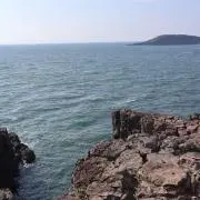 umiの画像