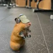 チャン