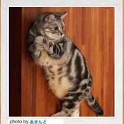 yu−ki