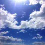 青天の霹靂acoの画像