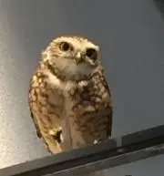 k.Cakeの画像