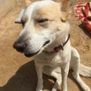 そらの画像