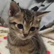 みぃTANの画像