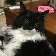 あかる