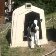 おちっこの画像