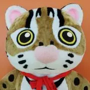 くろくろたの画像