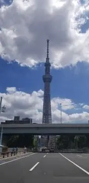 ステイサンの画像