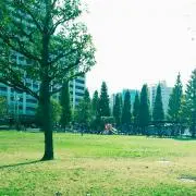 kaoshima◆プロフご一読くださいの画像