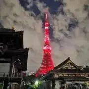 鈴木　スズキの画像
