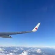 チルチルの画像