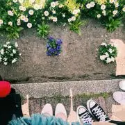Harunaの画像