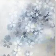 tree Cherryの画像